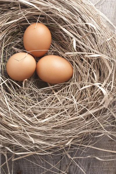 Macro tiro de ovos castanhos no ninho de feno na fazenda de galinhas — Fotografia de Stock