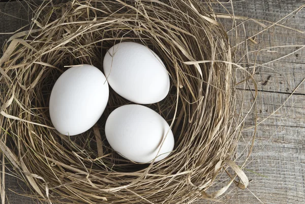 Nest with eggs — Stock Photo, Image