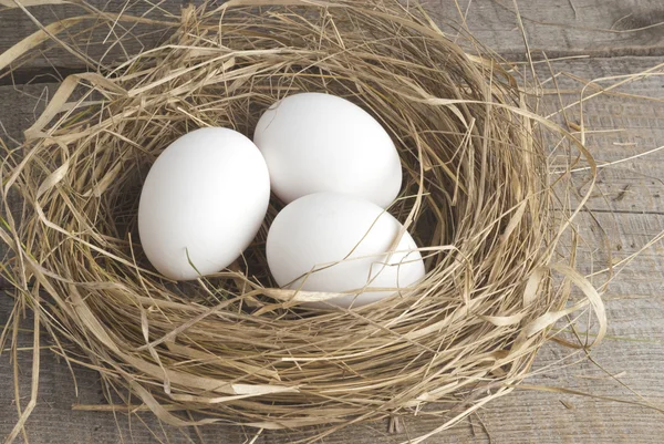 Гнізда з яйцями — стокове фото