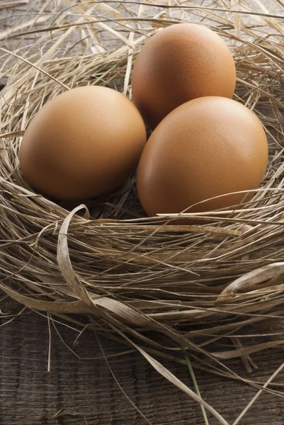 Macro tiro de ovos castanhos no ninho de feno na fazenda de galinhas — Fotografia de Stock