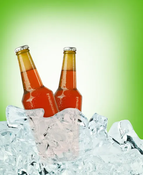 Beer is in ice — Stock Photo, Image