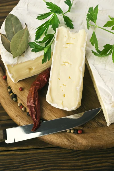 Camembert cheese slice macro shot. Shallow DOF — Stock Photo, Image