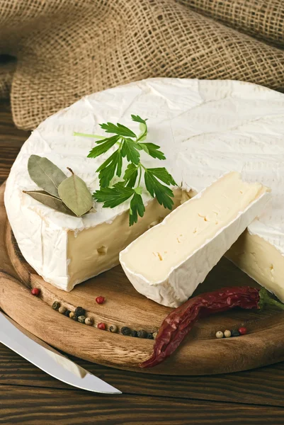 Fatia de queijo camembert macro shot. DOF superficial — Fotografia de Stock