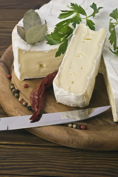 Camembert cheese slice macro shot. Shallow DOF — Stock Photo, Image