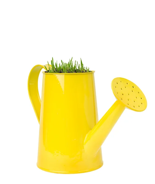 Watering can with grass — Stock Photo, Image