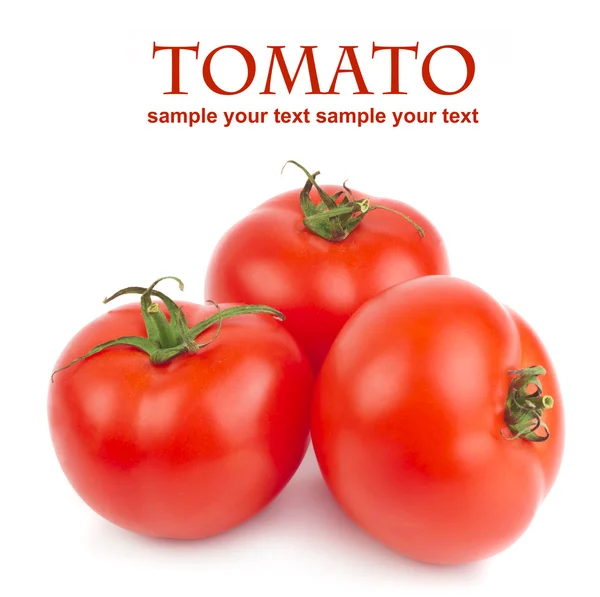 Tomatoes — Stock Photo, Image