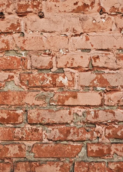 Parede de tijolo velho — Fotografia de Stock