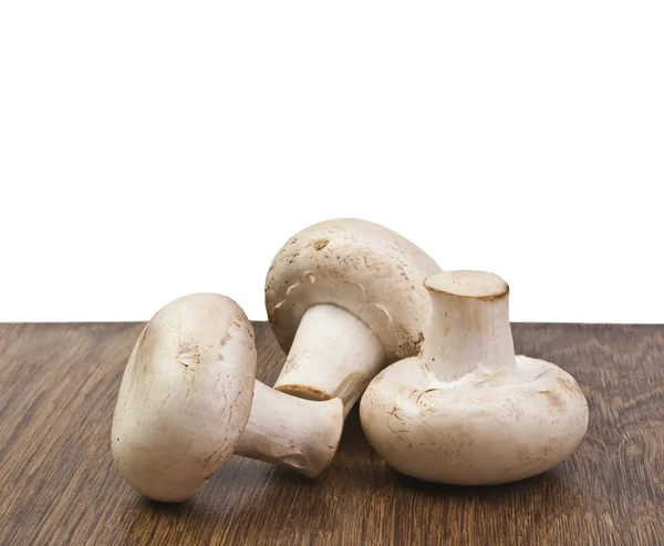 Champignons — Stock Photo, Image