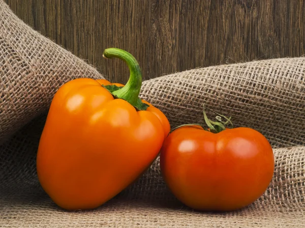 Tomate y pimentón — Foto de Stock