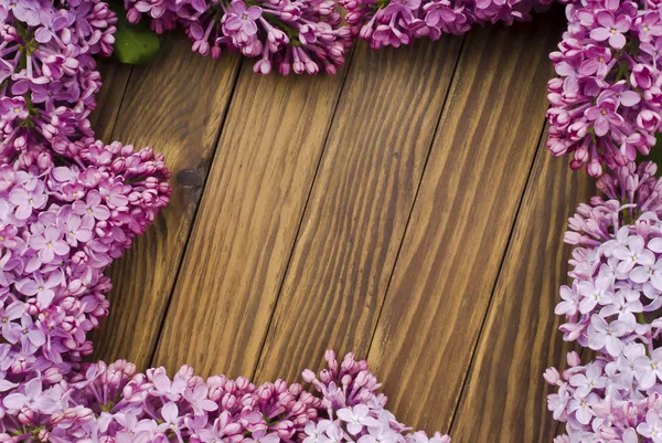 Marco de flores lila —  Fotos de Stock