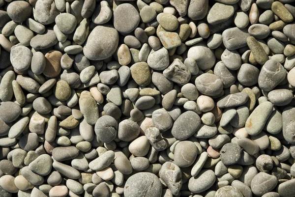 Pebbles — Stock Photo, Image