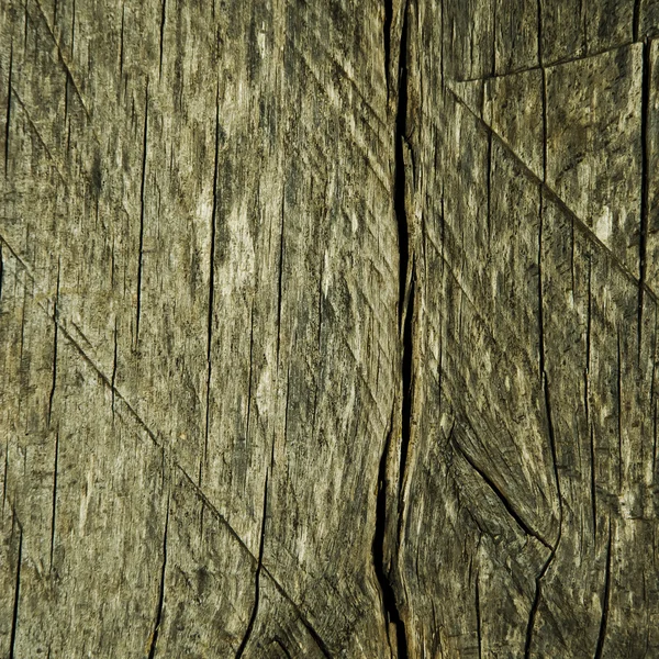 Wooden texture — Stock Photo, Image