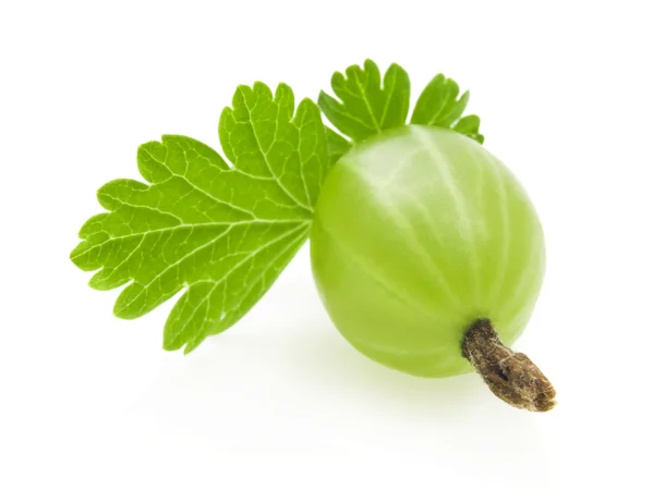 Gooseberry — Stock Photo, Image