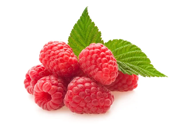 Raspberries with leaves — Stock Photo, Image