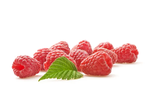 Himbeeren mit Blatt — Stockfoto