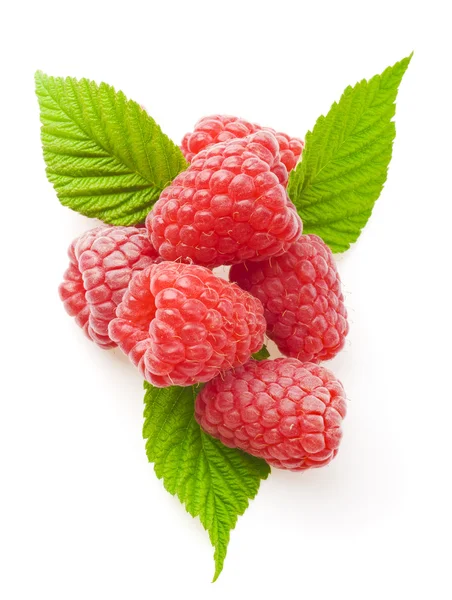 Raspberry berries — Stock Photo, Image