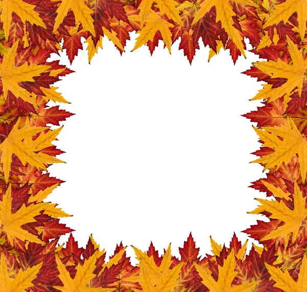 Folhas de outono Textura — Fotografia de Stock