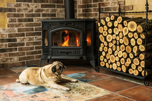 Pug Dog Lies Fireplace House — Stock Photo, Image