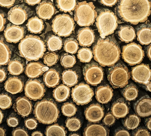 Background Chopped Stacked Firewood Natural Texture — Stock Photo, Image