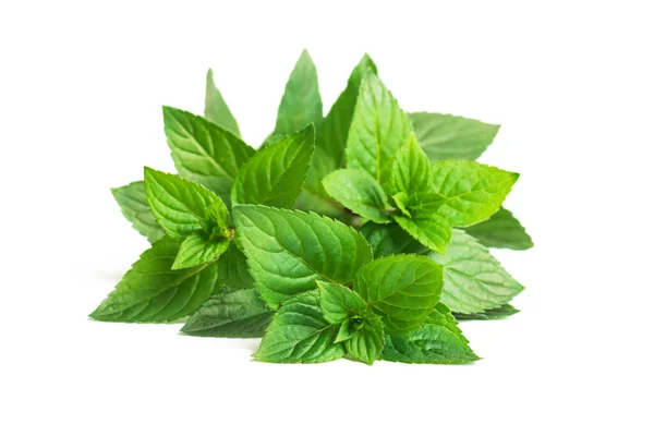 Fresh Green Mint Leaves Isolated White Background — Stock Photo, Image