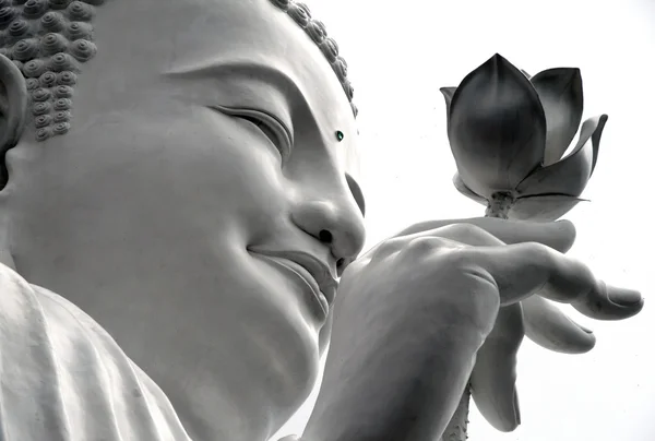 White Buddha with a lotus — Stock Photo, Image