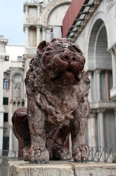 Stone lion in Piazza San Marco — Stock Photo, Image