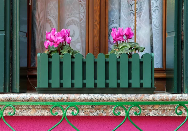 Rosafarbene Blüten auf der Fensterbank — Stockfoto