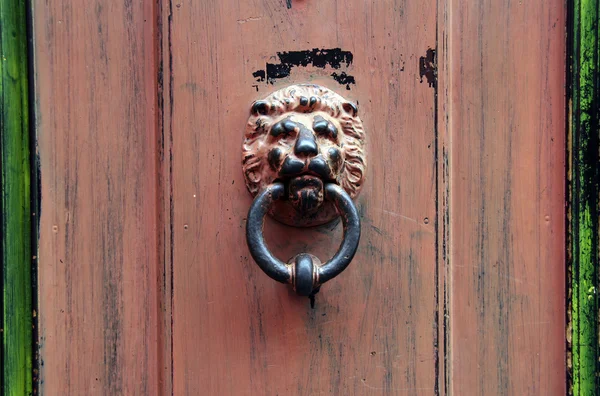 Doorknob lion — Stock Photo, Image