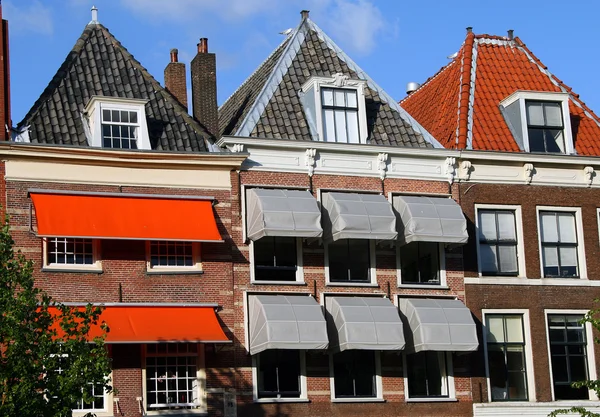 Colorful traditional buildings of Leiden — Stock Photo, Image