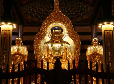xiamen, fujian Güney putuo (nanputuo) tapınakta altın buddha