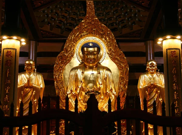 Zlatý buddha v jižním putuo (nanputuo) chrám v xiamen, fujian — Stock fotografie