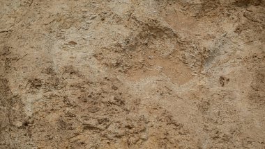 Natural texture sandstone, sun lighting, stone background