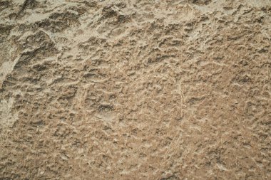 Natural texture sandstone, sun lighting, stone background