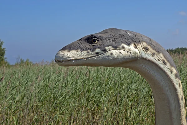 Dinosauro — Foto Stock