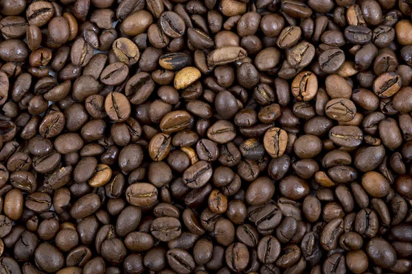 Coffee beans, a background — Stock fotografie