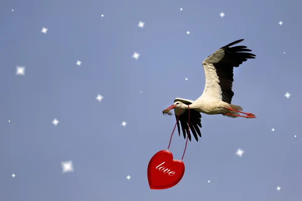 Cigüeña blanca con corazón rojo —  Fotos de Stock