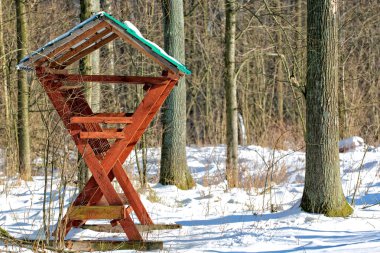 Karaca, kış için besleyici