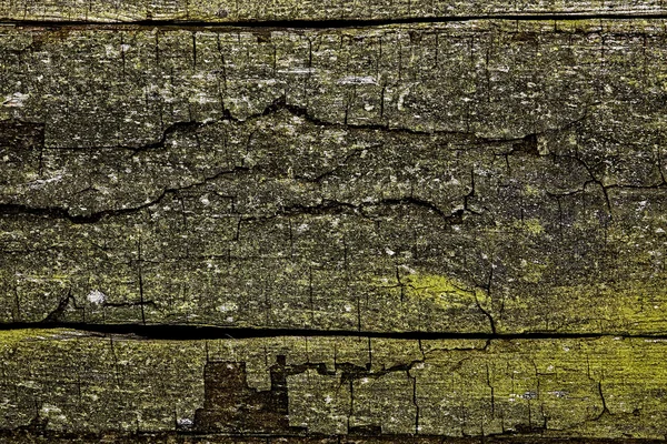 The old plank, a background or texture — Stock Photo, Image