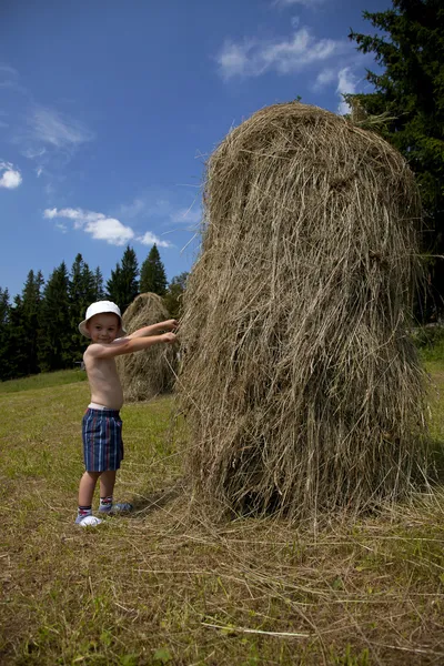 干し草の山の横にある若い男の子 — ストック写真