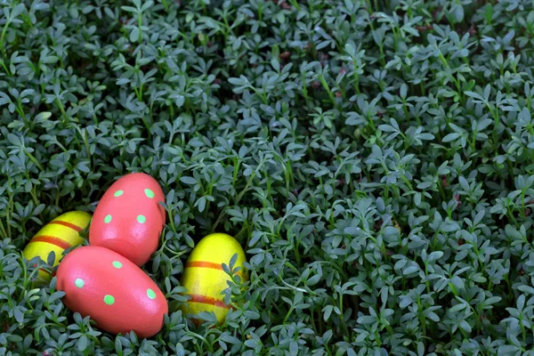 Easter eggs on a green background — Stock Photo, Image