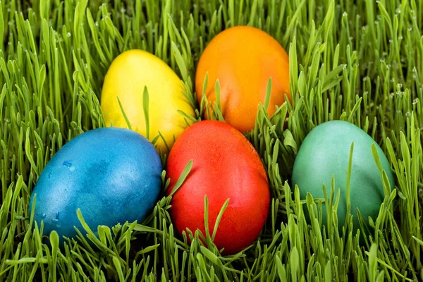 Çimenlerdeki Paskalya yumurtaları — Stok fotoğraf