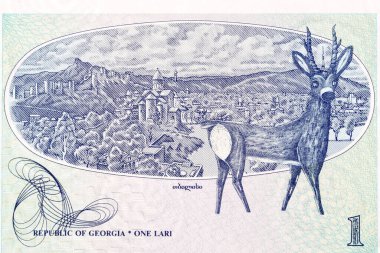 Tiflis manzarası ve Gürcü parasıyla geyik resmi
