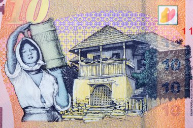 Oltenia 'dan geleneksel ev ve Romen paralı kadın - Leu