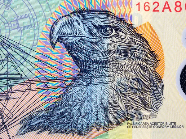 Cabeza Águila Del Dinero Rumano Leu —  Fotos de Stock