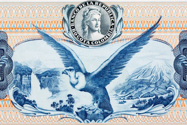 Kondor Vodopádem Horami Starých Kolumbijských Peněz Peso — Stock fotografie