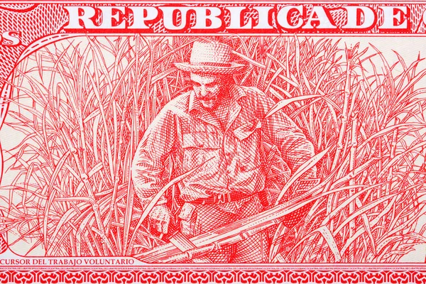 Che Guevara Cukornád Vágás Kubai Pénzből Pesos — Stock Fotó