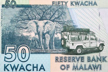 Malawian 'dan Kasungu Milli Parkı - kwacha