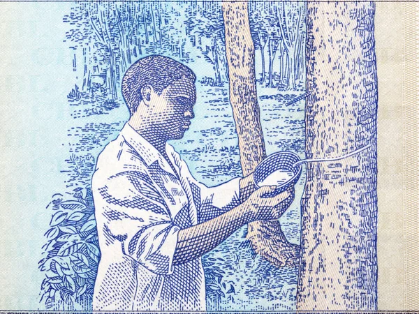 라이베리아의 화폐인 달러에서 나오는 테이퍼 — 스톡 사진
