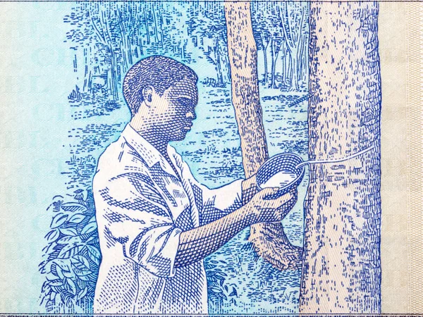 Rubber Tappers Van Liberiaans Geld Dollar — Stockfoto