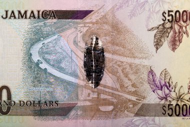 Jamaika parasından 2000 Otoyolu - Dolar